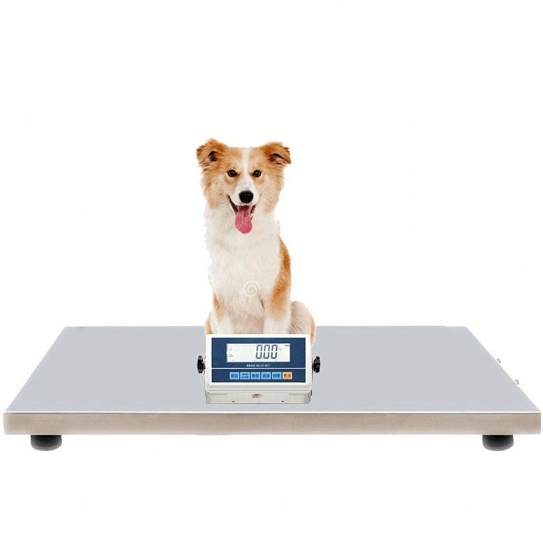 New Arrival Compact Portable Wholesale/Supplier Heavy Duty Digital Smart Perfect Weighing Parcel Postal Shipping Scales AC Adaptor