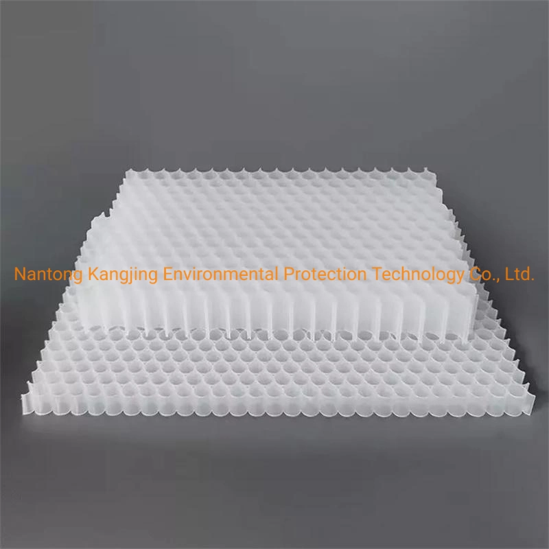 Custom Thicknesses Plastic Polypropylene Honeycomb Material