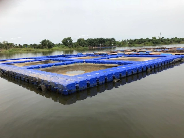 New Style Schwimmende Zucht Fisch Landwirtschaft Käfig Ohne Handläufe