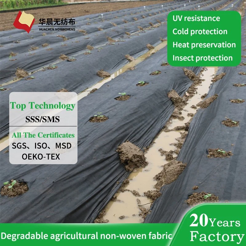 PP Nonwoven Fabric Landscape Fabric Weed Control and Greenhouse Film Agricultural Fabric