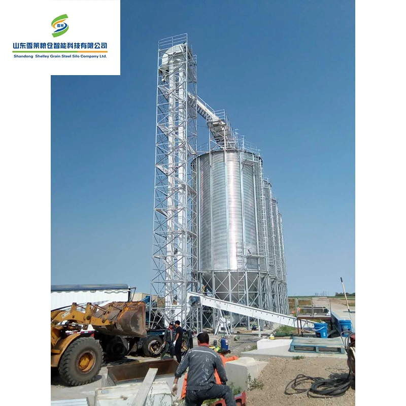 Pequeño elevador de cangilones de tolva de la máquina para el transporte de grano