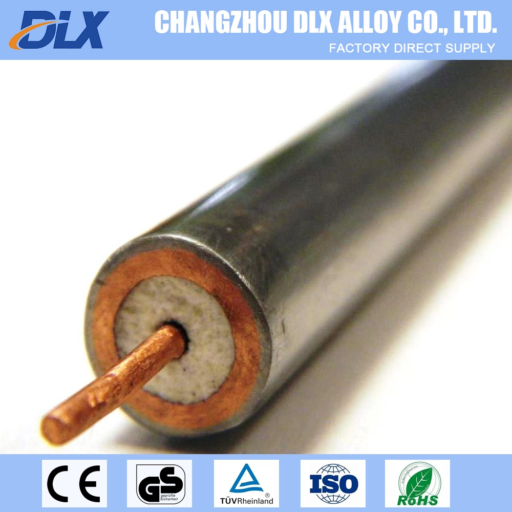 SS316 Sheathed Heating Extension Mi Cable for Rtd or Thermocouple Control Electric Waterproof Rubber Mineral Cable