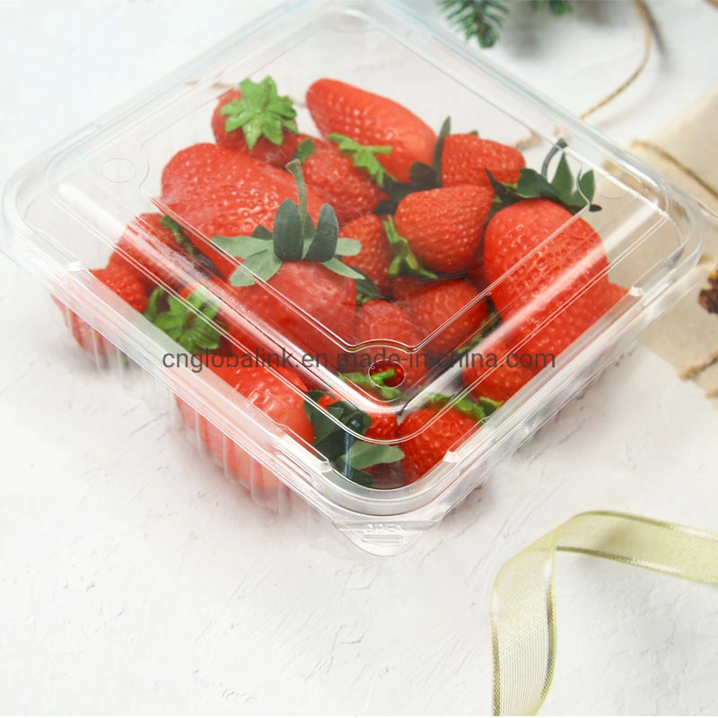 1000g Plastic Vacuum Formed Fruit Packaging