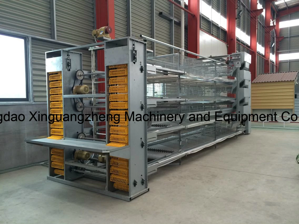 Low Cost H Type Layer Chicken Cage Equipment with Factory Price