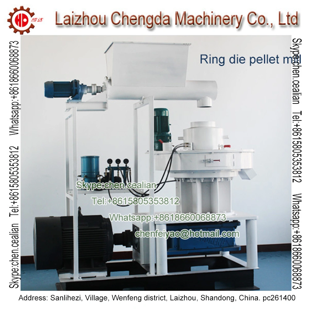 Vertical Stainless Matrix Pellet Machine on Sale