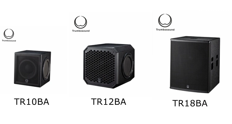 El Subwoofer de 18 pulgadas solo PA EL SISTEMA DE AUDIO 600W para mostrar