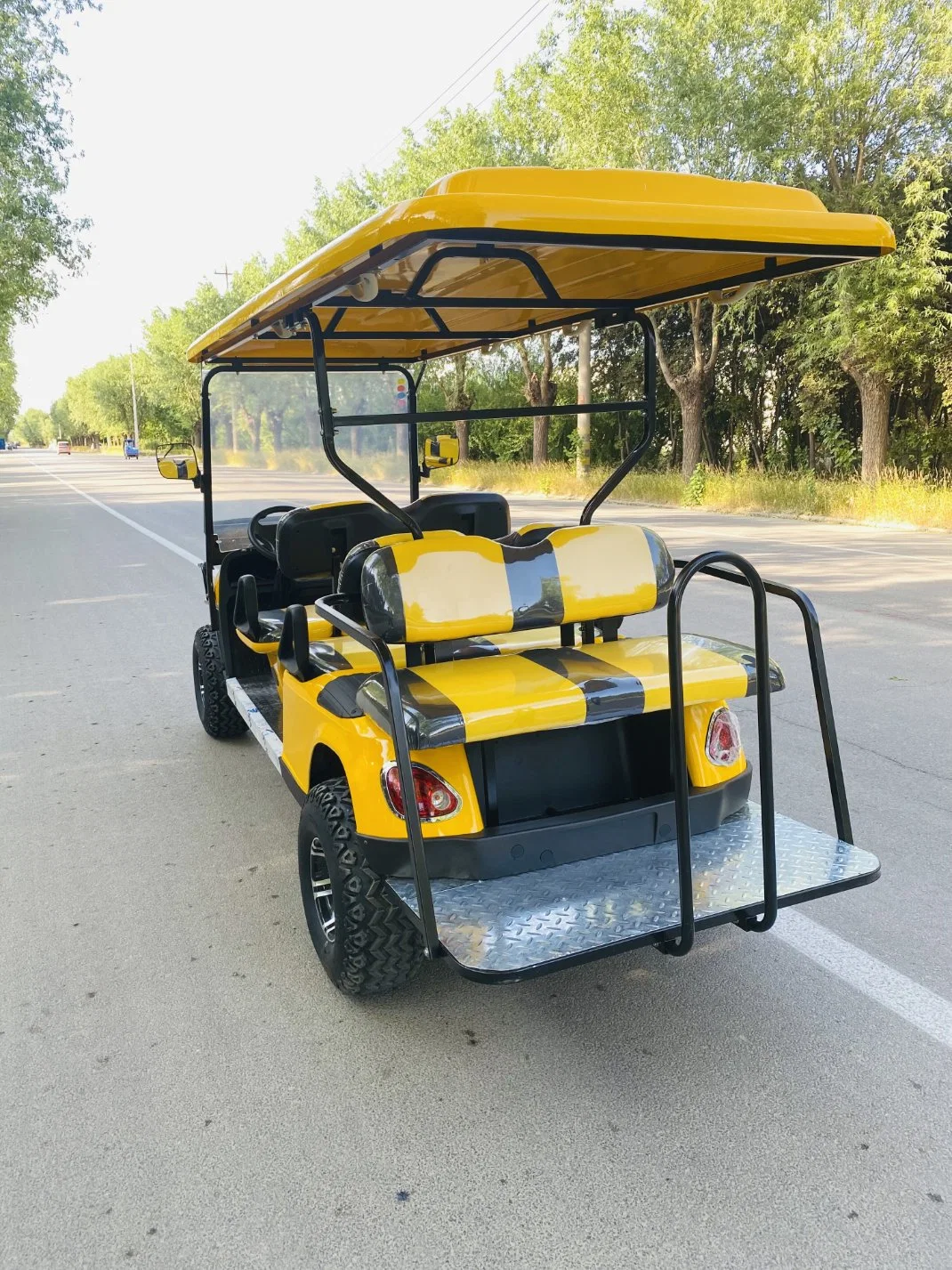 Carro do Golfo eléctrico e eléctrico com gás e luz LED