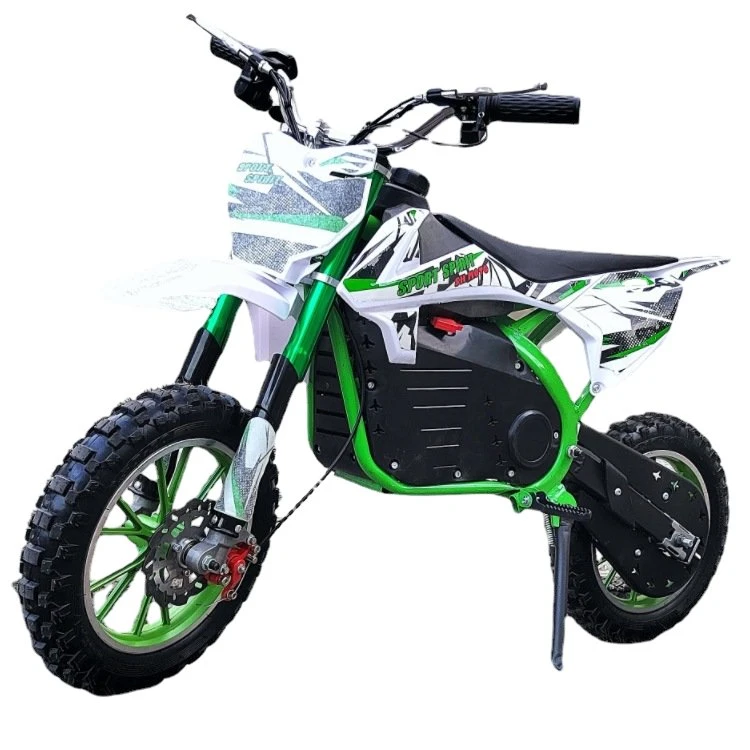 800W Super Powerful Electric Dirt Bike