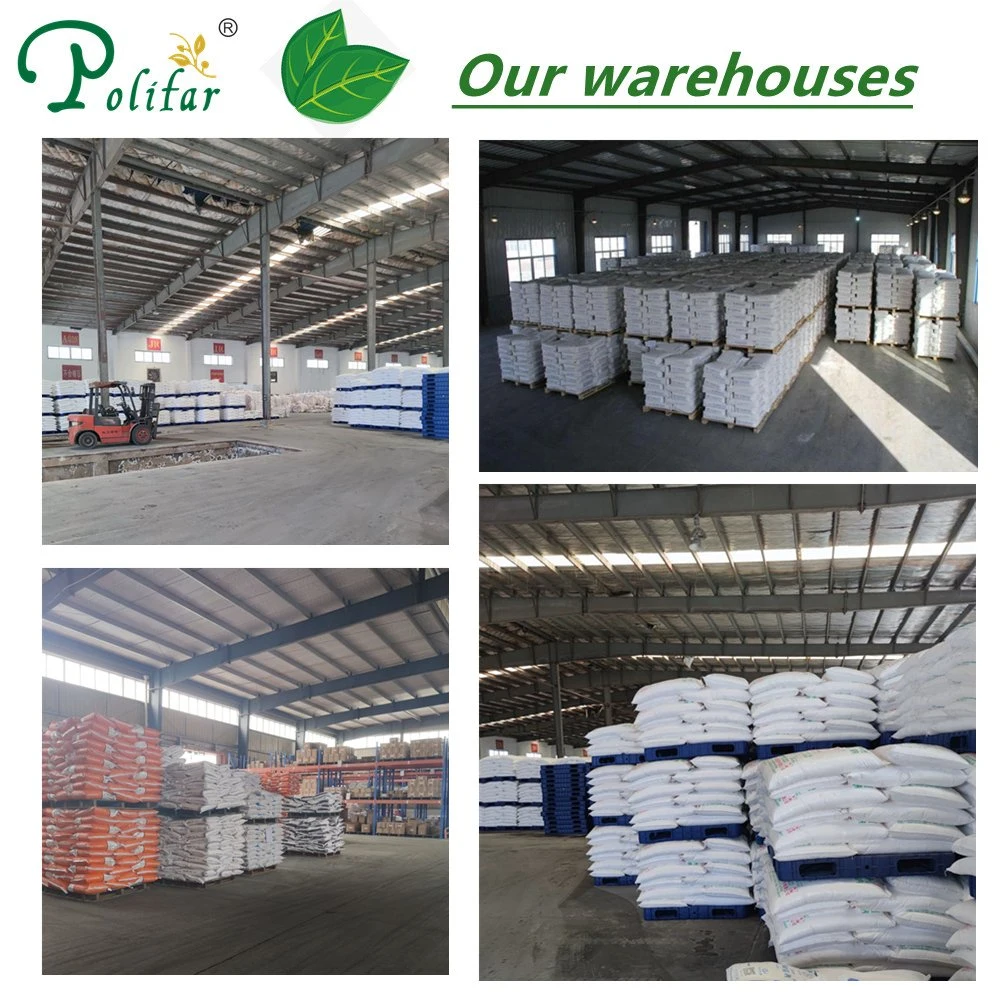 Polifar Factory Price Poultry Feed Additives Animals Nutrition Calcium Formate