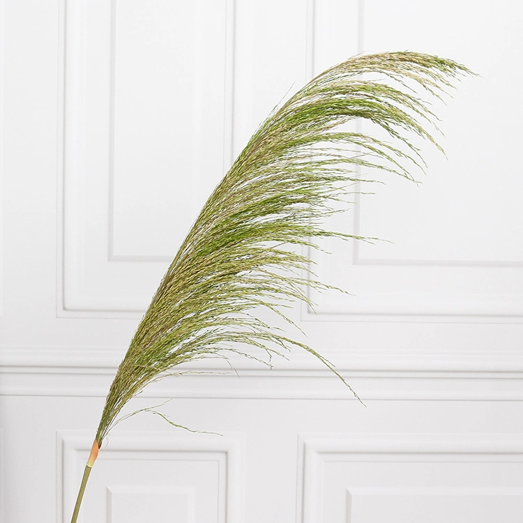 Amazon Fashion Design Natural Dry Pampas 110cm Dry Pampas Reed Arrangement for Decoration