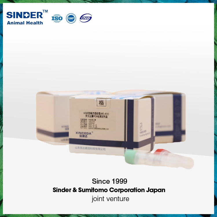 Kit de detección de pruebas diagnósticas de PCR en tiempo real de camarones para hepatopancreático agudo Enfermedad de necrosis Ahpnd