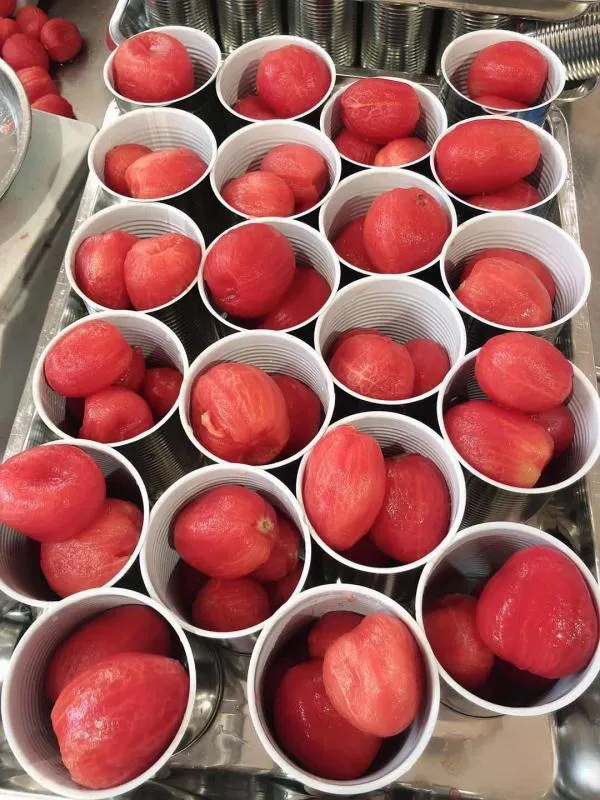 Dosen frisch geschälte Tomaten ganze in Tomatensaft Fabrik Preis