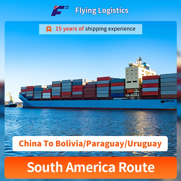 Mer transitaire pour Bolivie/Paraguay et Uruguay Service logistique de l'Agent d'expédition