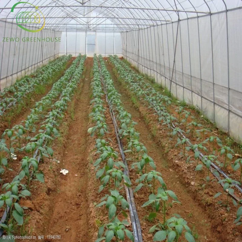 China Gemüse Wachsenden Hoop House Single Span Landwirtschaftliche Gewächshaus Tunneling Zum Hot Sale