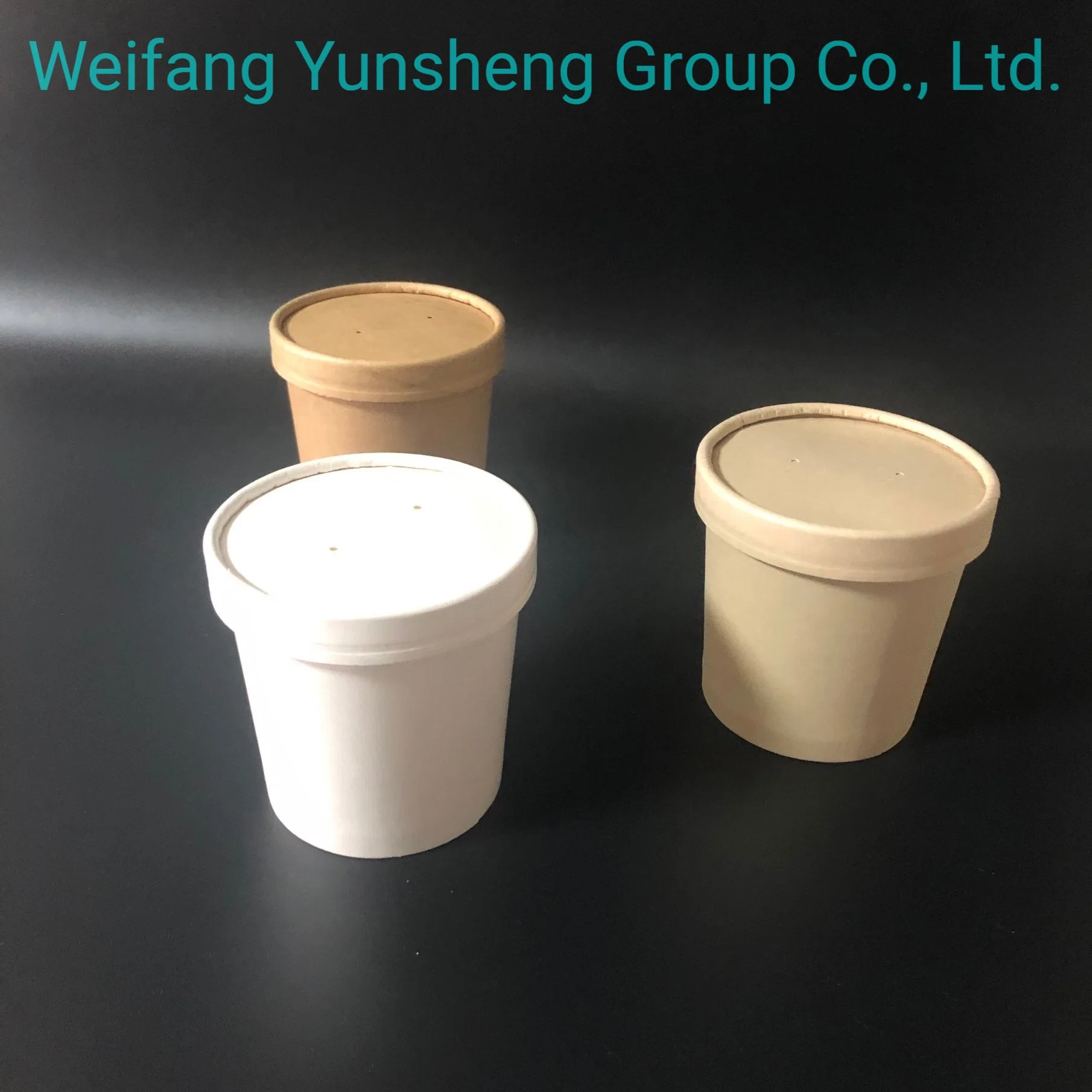 Soup Cup/Container with Lid Soup Take Away Containers Disposable Tableware Manufacturer