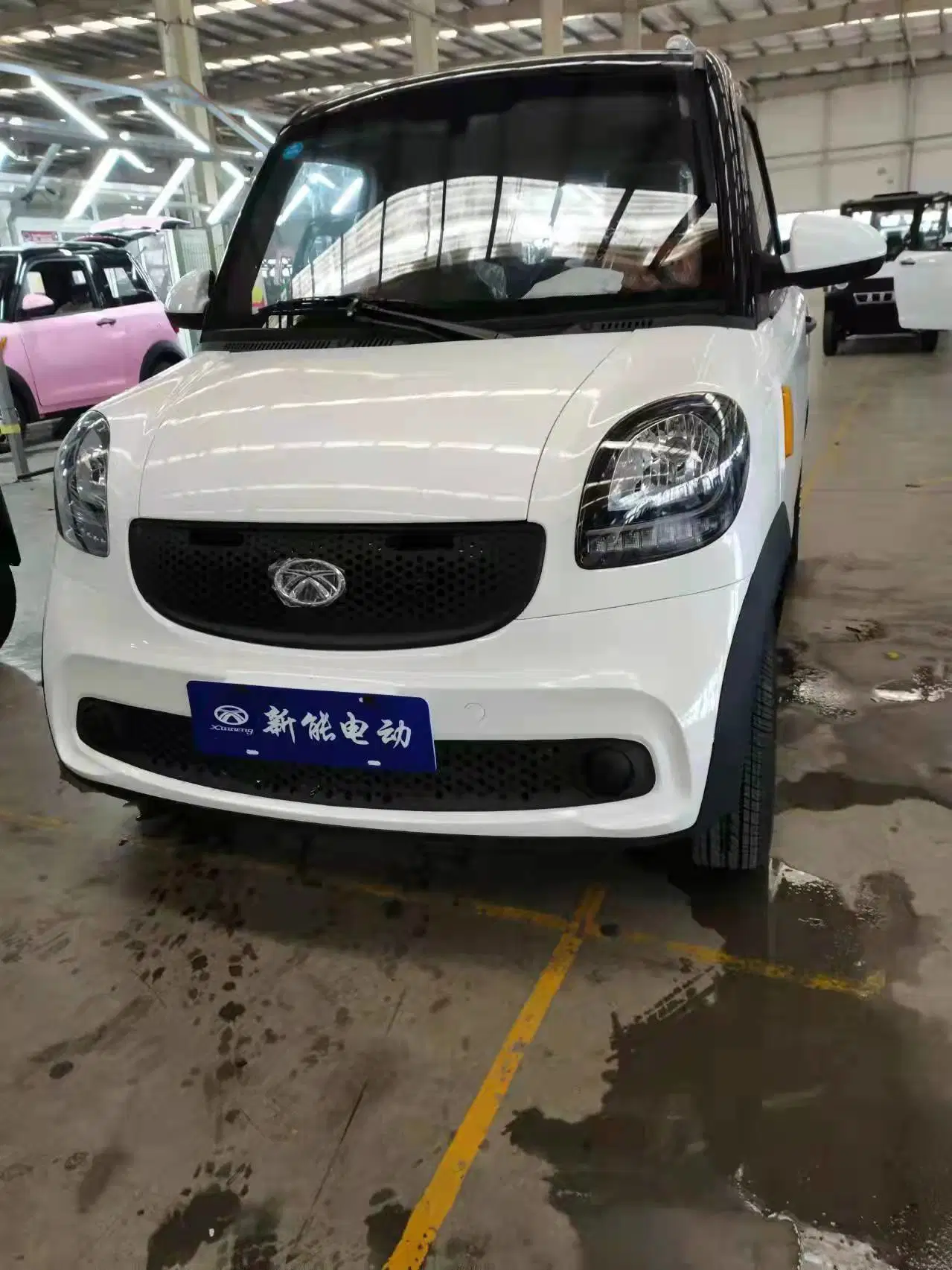 2022 New Style 4kw Electric Car Vehicle for Passenger Model H6 with LiFePO4 Battery