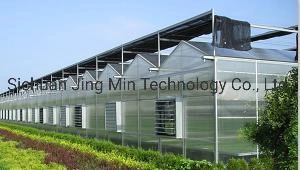 A Shape Roof / Arch Roof PC Sheet Covering Greenhouse