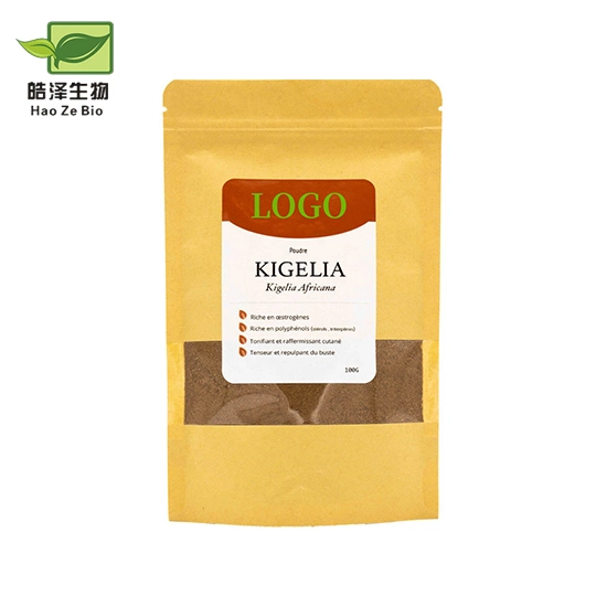 Bulk Sausage Tree Kigelia African Extract Factory Supply Kigelia Africana Powder