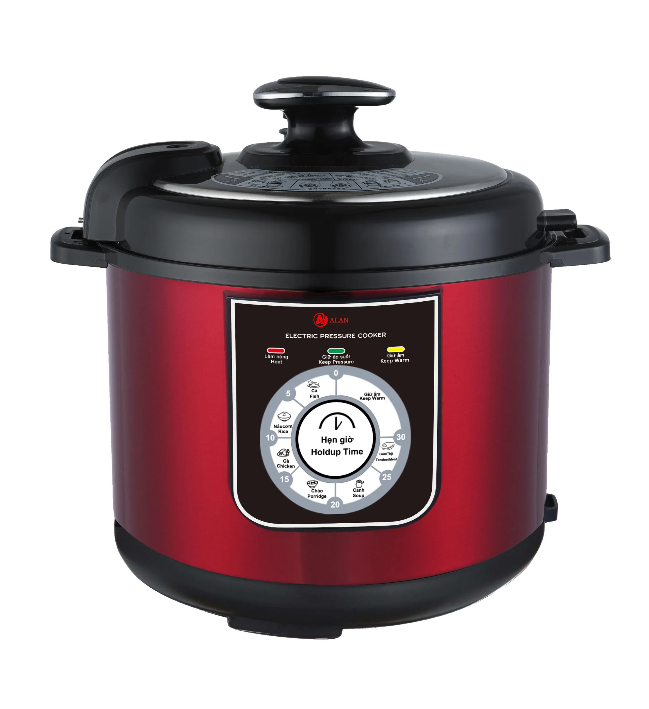 Full Plastic Housing 5L/6L Private Model Round Shape Electric Pressure Cookers with a Handle