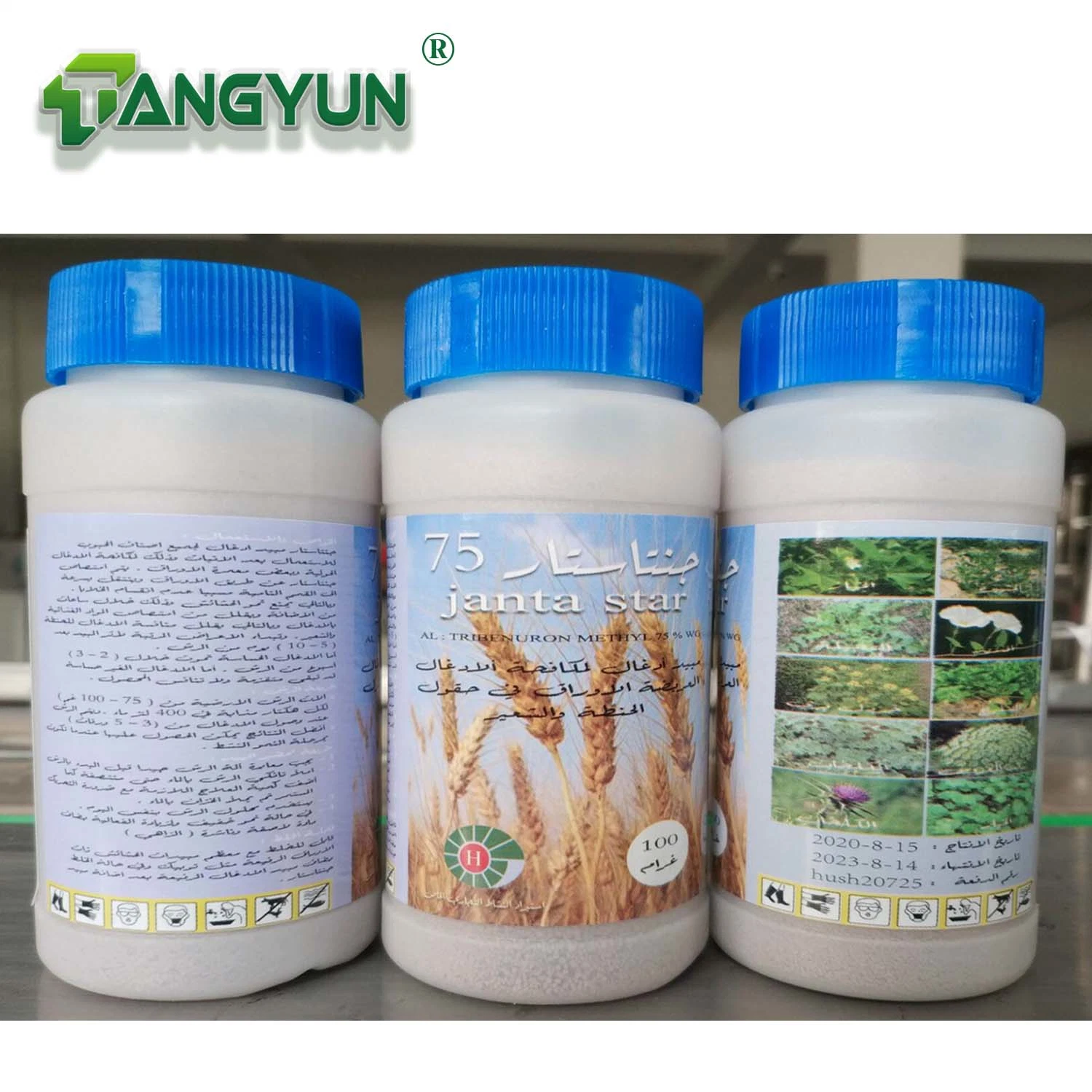 Fabrik Agrochemical Tribenuron-Methyl 75% Wg Post-Emergent Herbizid