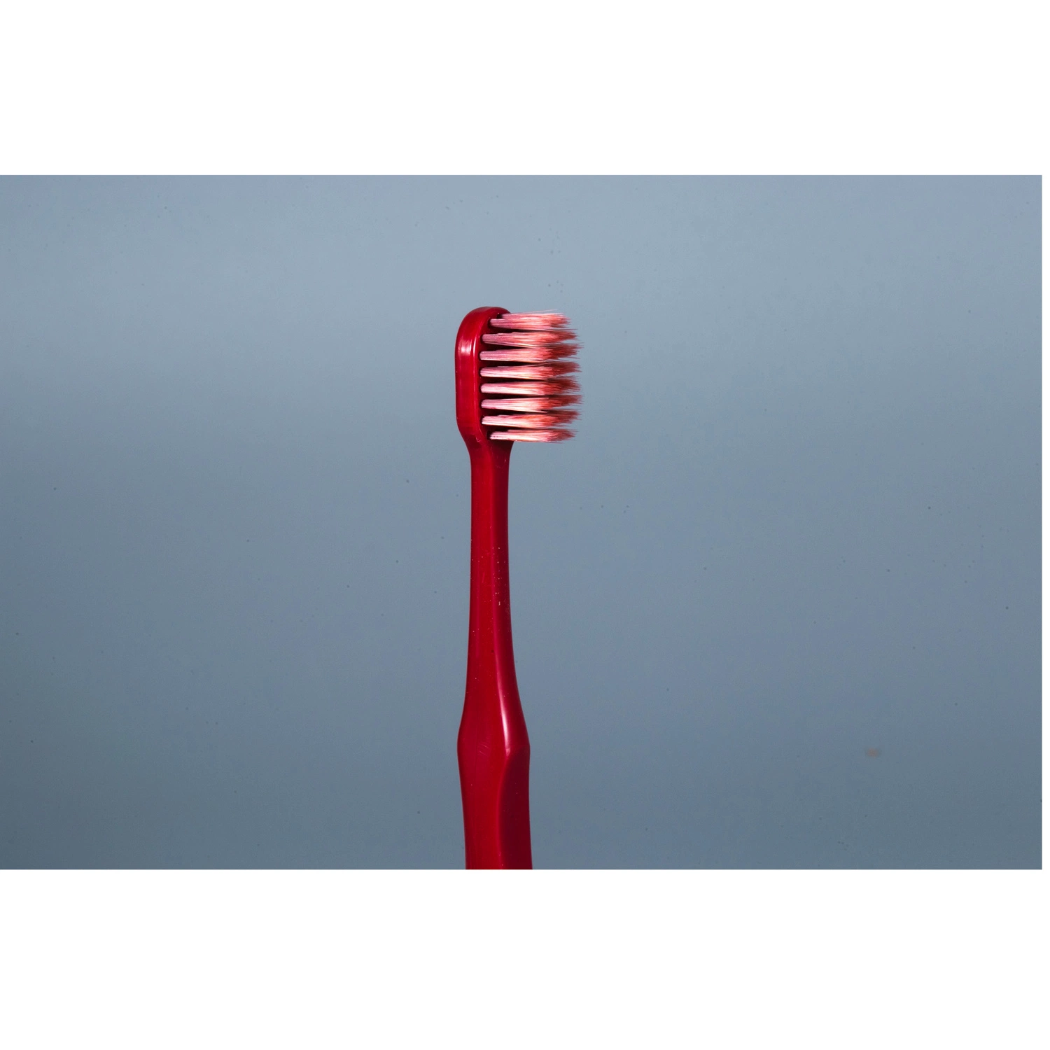 FDA& ISO Approved Wholesale/Supplier Adult Toothbrush