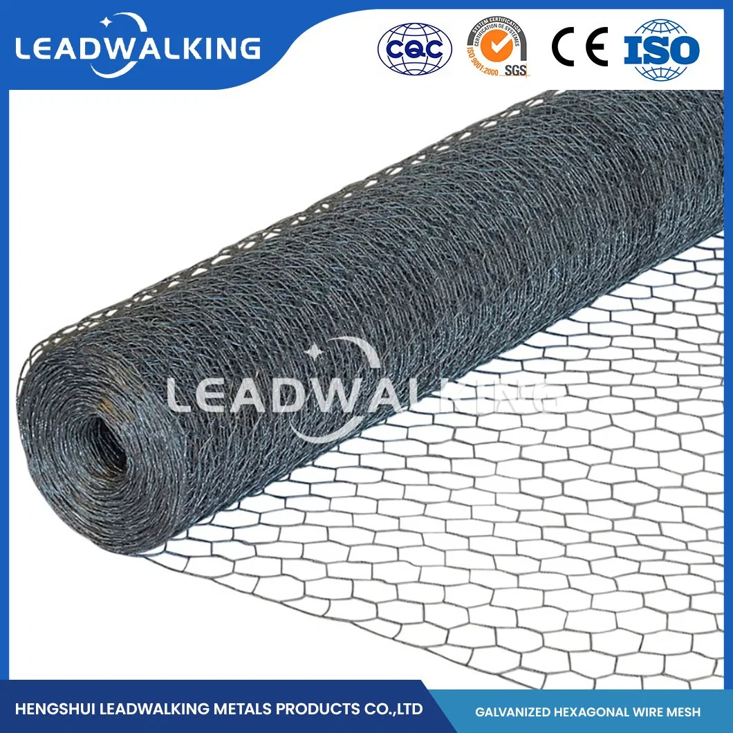 Leadwalking China Acero suave fábrica de malla tejido PVC alambre material Malla de 3 pulgadas Red hexagonales recubierta de plástico