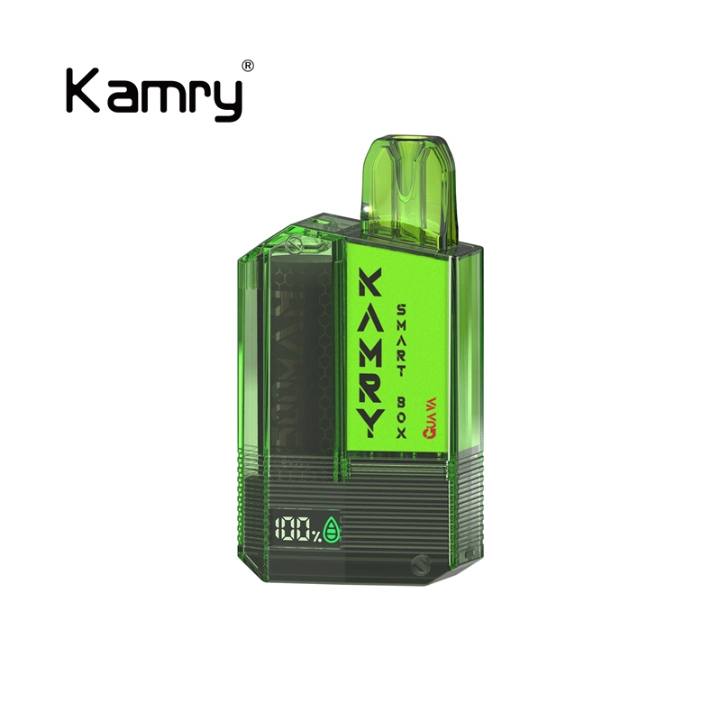 Kamry Smart Box Pod cigarrillo electrónico 300puff Precio al por mayor desechable VAPE Pen Mayoreo desechable E Cigarette