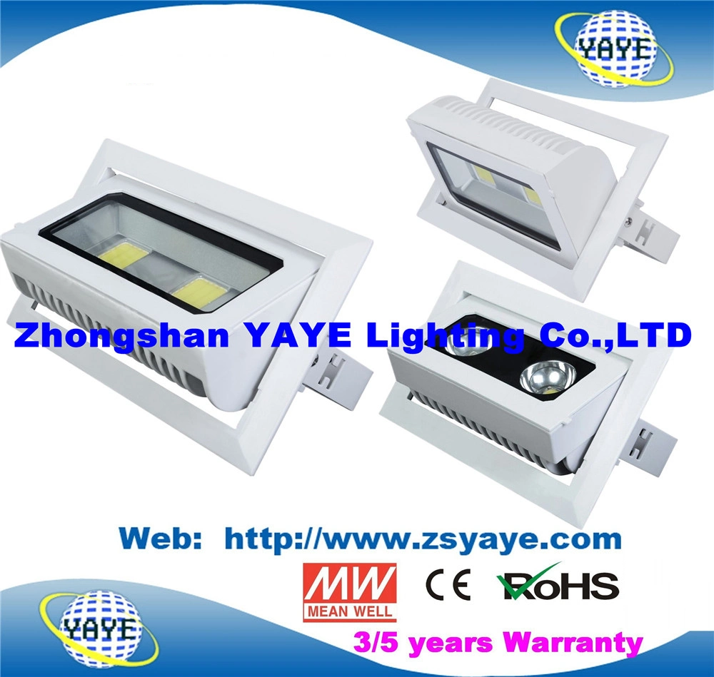 Yaye 18 أفضل جهاز عرض LED طراز COB بقدرة 30 واط معتمد من CE/RoHS Sell / مصباح LED بقوة 30 واط بإضاءة LED /COB بقوة 30 واط بإضاءة LED