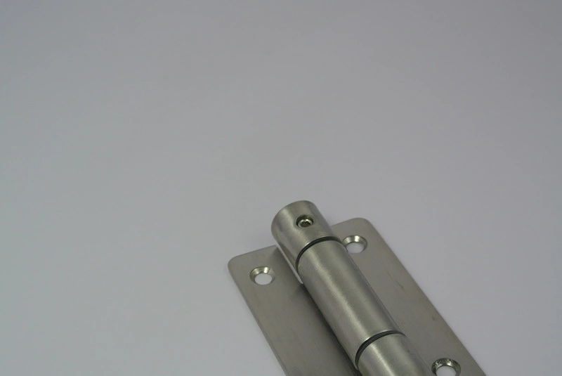 Popular Design Stainless Steel 304 Toilet Cubicle Spring Hinge