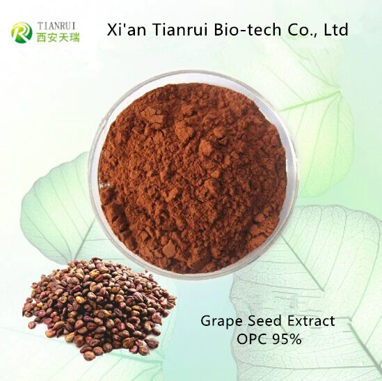 Grape Seed Extract /High quality/High cost performance  OPC 95%