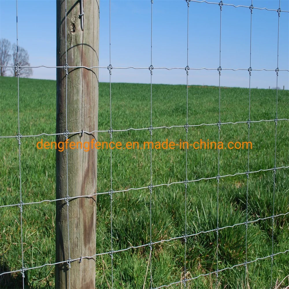 Гальванизированная неподвижная ограда Knot Deer Fence для крупного рогатого скота Конный полевой забор Для фермы