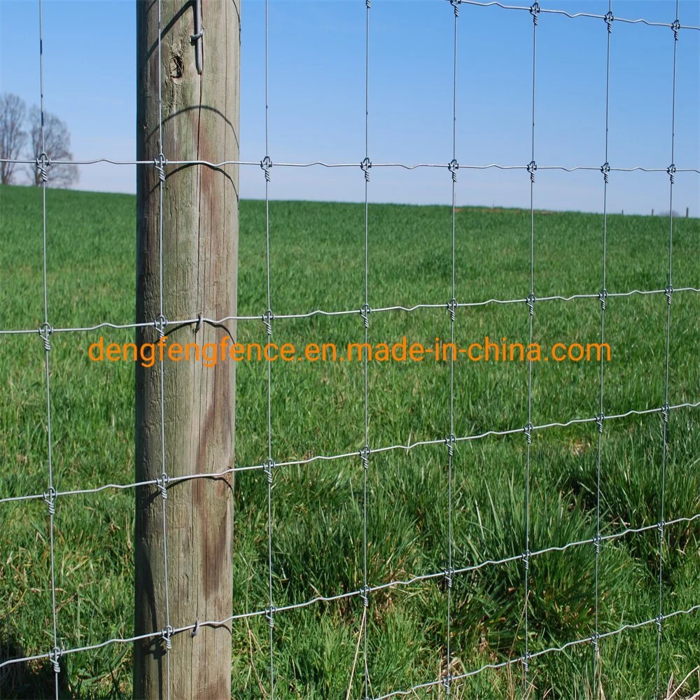 Galvanized Fixed Knot Deer Fence Cattle Deer Horse Field Fence for Farm