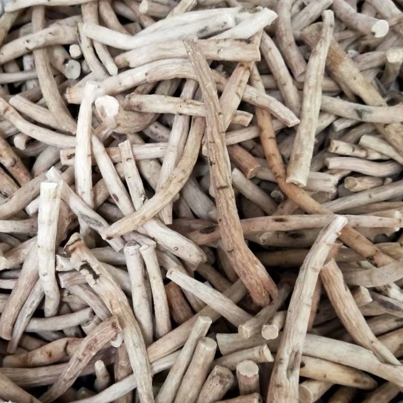 Chinese Herb Medicine Bai Shao Radix Paeoniae Alba Dried White Paeony Root