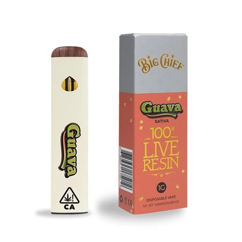 Big Chief Thick Oil Disposable Vape 1 ml vide HHC Ceramic Stylo rechargeable à bobine 280 mAh de type C avec emballage 1000 mg 10 Esouches stylo vide à usage unique