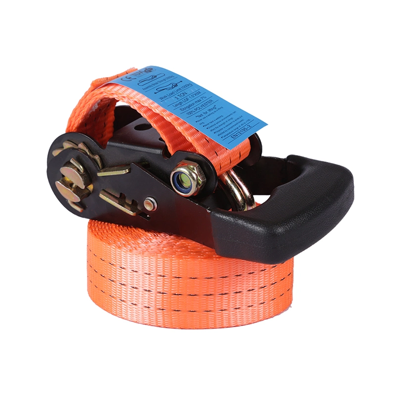 2"*10m Lashing Strap with Big Plastic Handle Good Price and Certificate