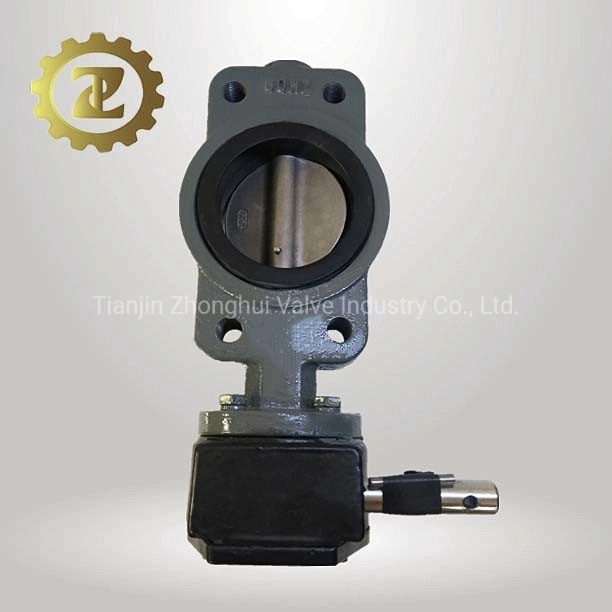 Semi Lugged Butterfly Valve Cast Iron Body Pn10 Pn 16