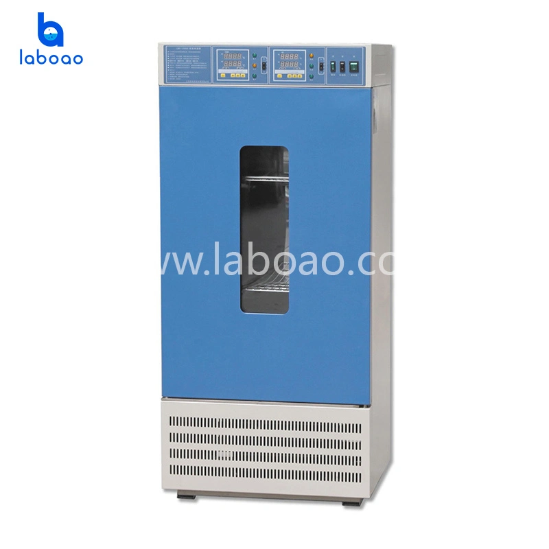 Laboratory Bacterial Microbial Culture Mold Incubator Machine