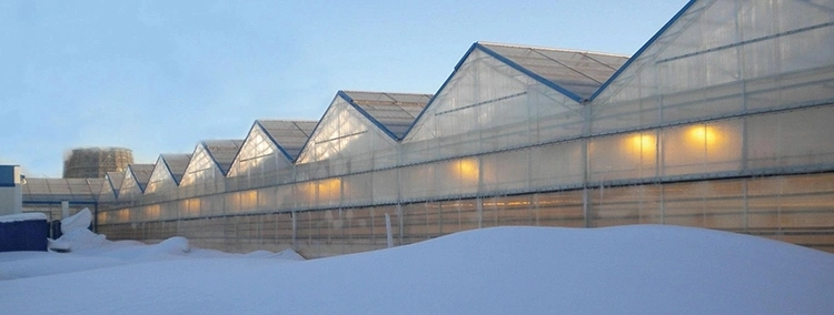 Low-Cost Polycarbonate Greenhouse, Single-Span Multi-Span Garden