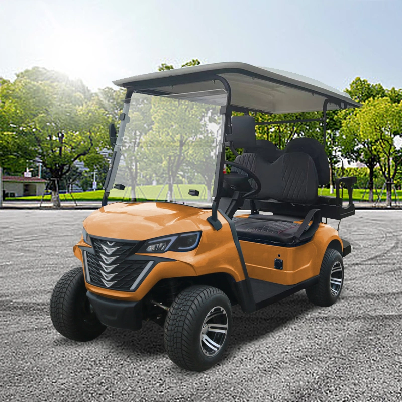 High Performance Forge 2+G2 plazas Golf Buggy Electric Golf Cart Precio