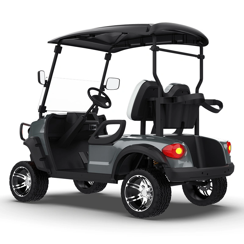 Advanced 2 Seater Personal Street Legal 48 Volt Golf Cart