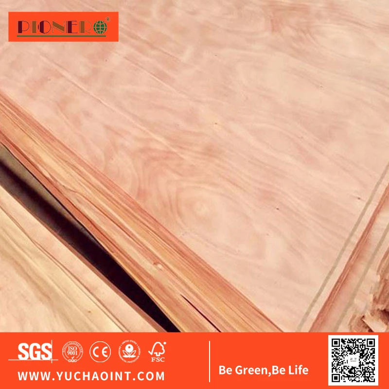 Natural Okoume/Birch/Pine Wood Veneer for India, Malaysia, Indonesia