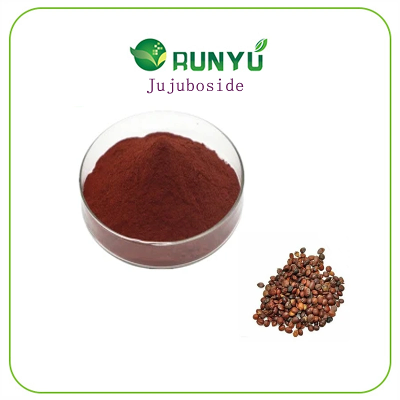 CAS: 55466-05-2 Wild Jujube Fruit Extract/Zizyphus Vulgaris Extract/ Spine Date Seed Extract 2% Jujuboside