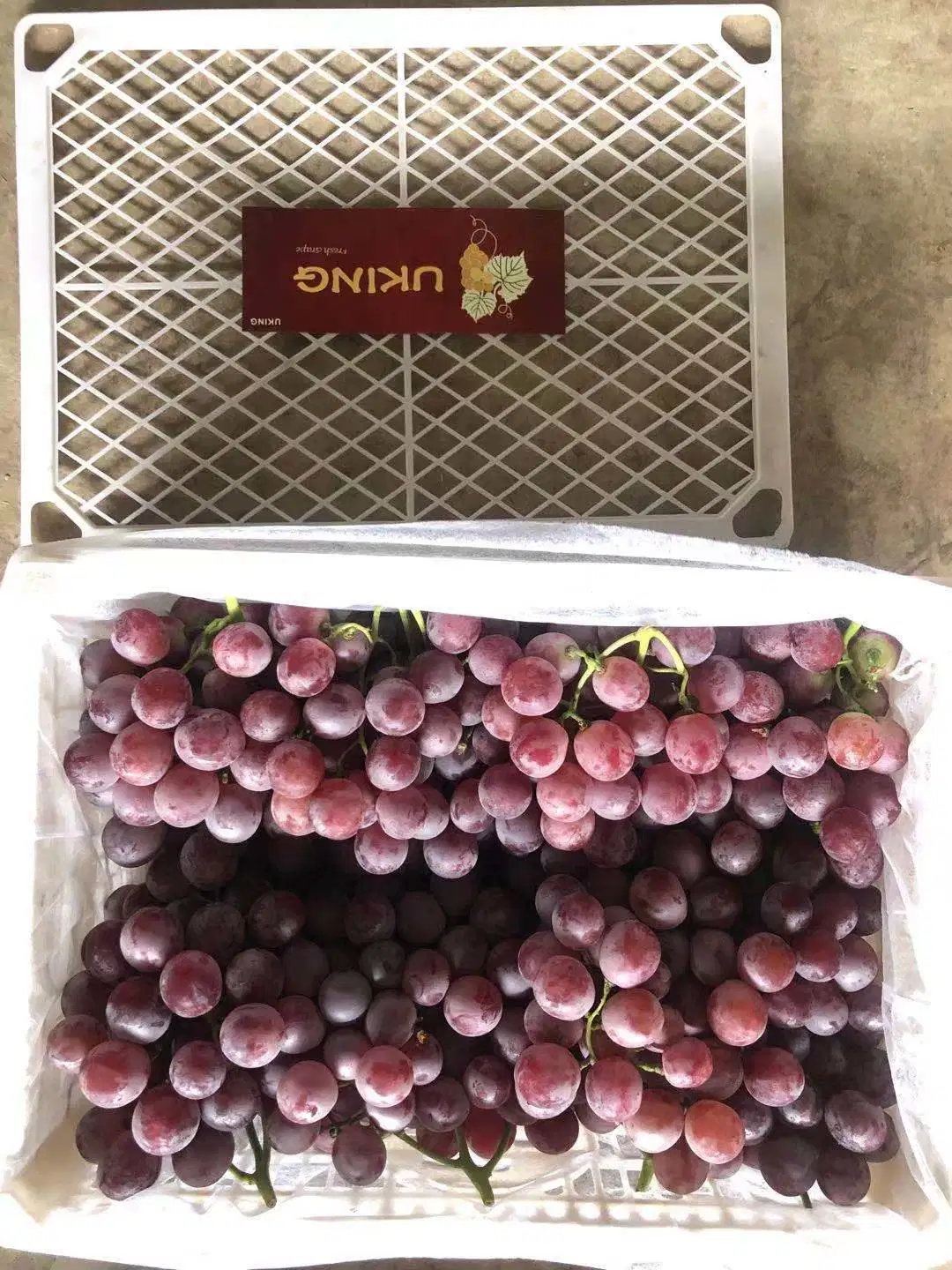 Uvas Vermelhas Globais Xinjiang