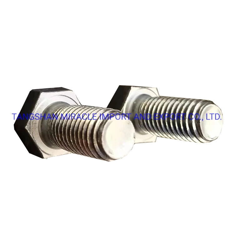 Electro Galvanized Hot DIP Galvanized Black Bolts and Nuts Carbon Steel and Stainless Steel Material Grade 8.8 Fastener Hex Bolt-1