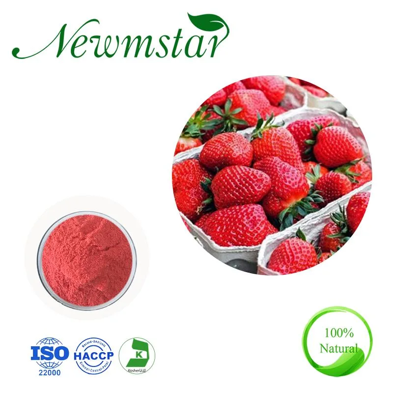 Food Grade 100% Natural Concentrated Juice Powder Strawberry Fruit Powder