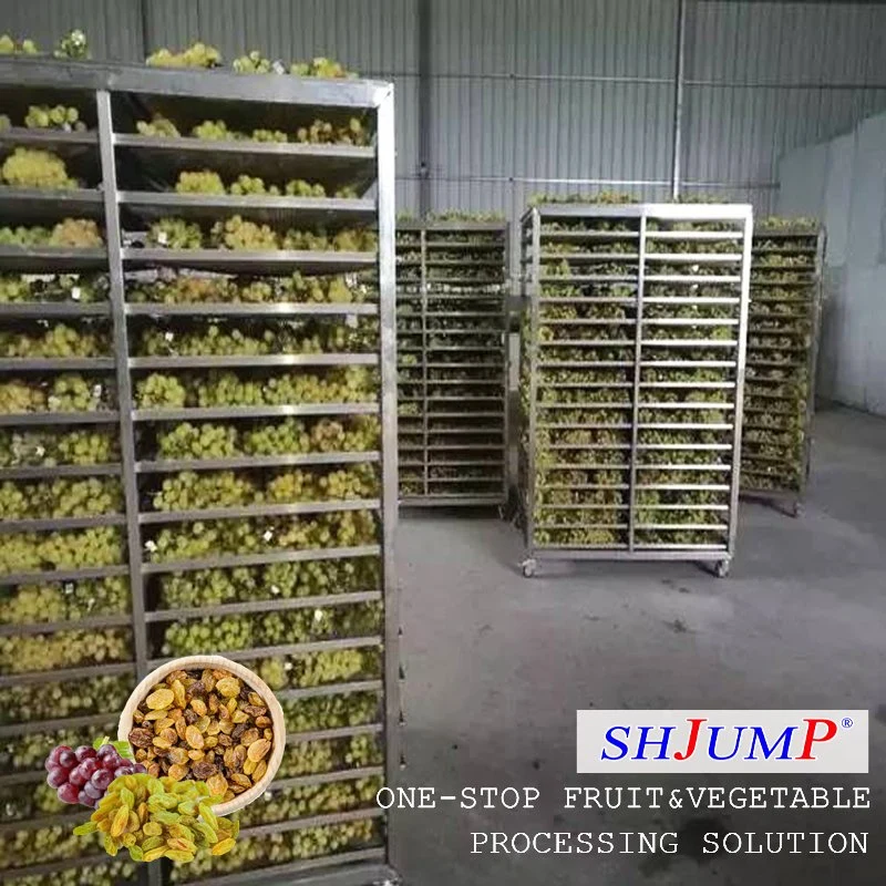 Dried Berry Production Line Machine Clean Hot-Air Drying Machines for Grape, Berry and Other Fruits