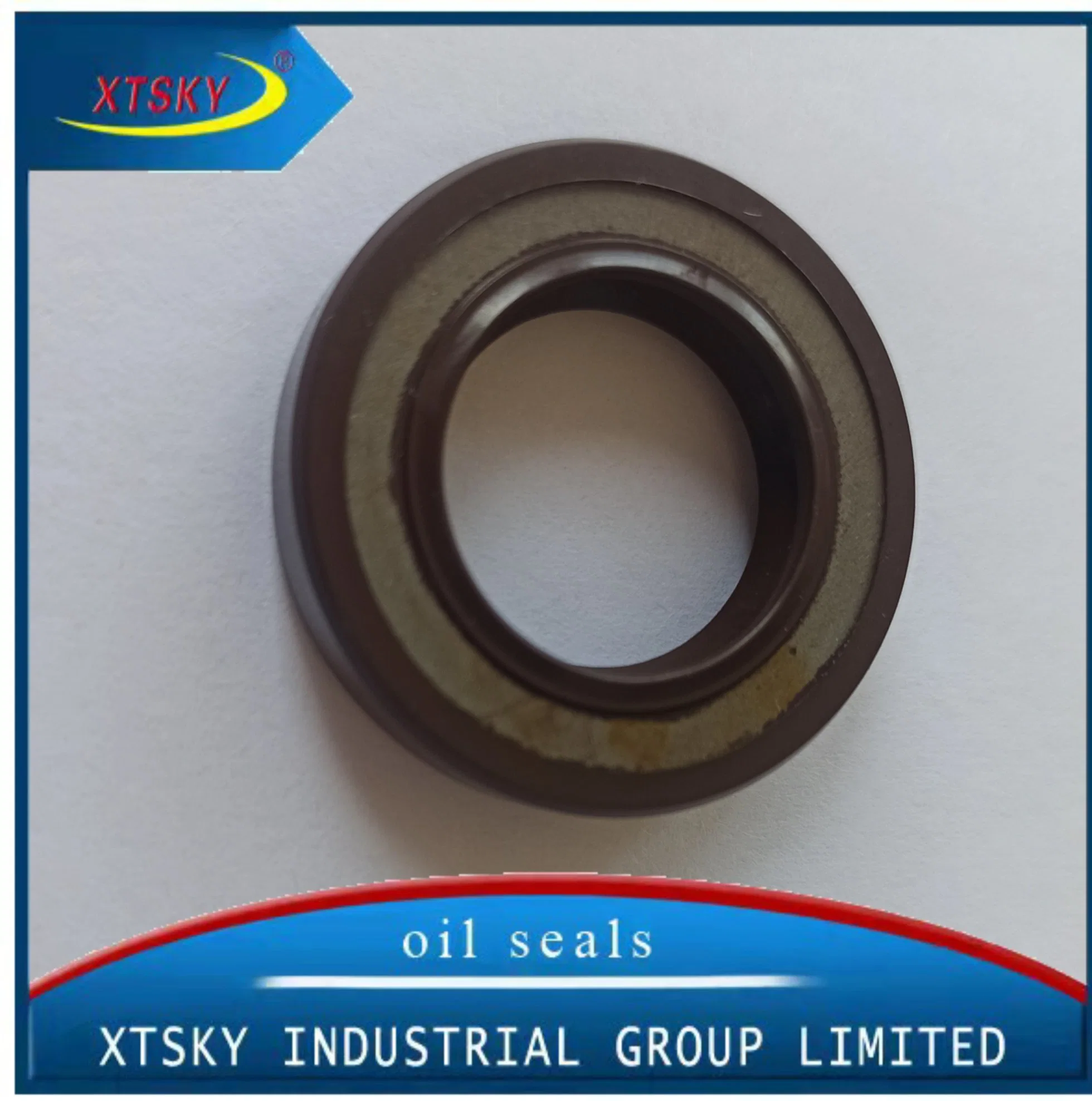 High Quality Oil Seal Tc/Tb/Ta with NBR/FKM/Acm Material