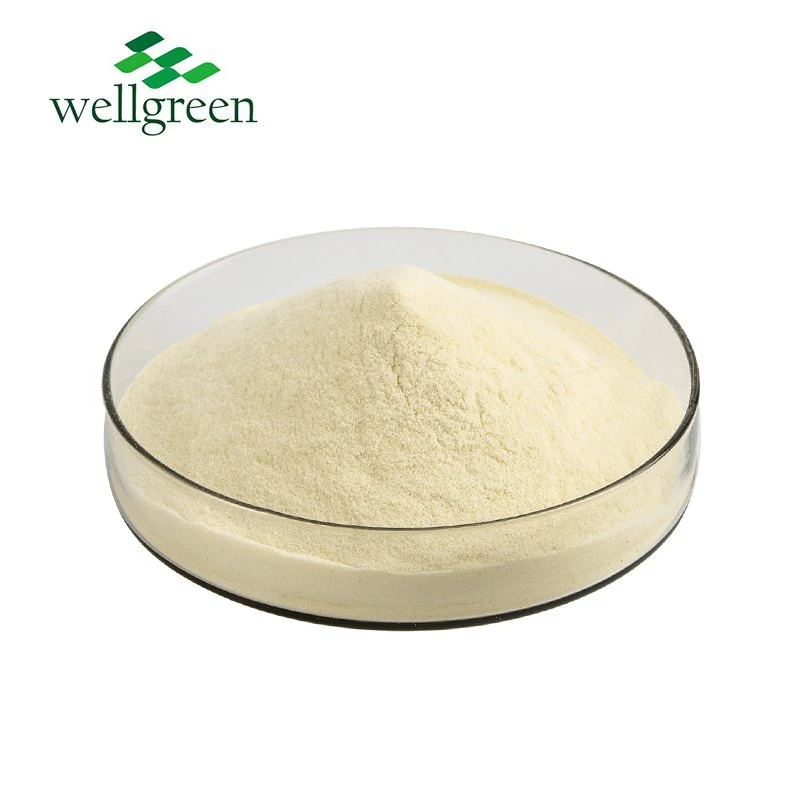 Gluten-Free Baking and Cooking Pure Xanthan Gum Powder