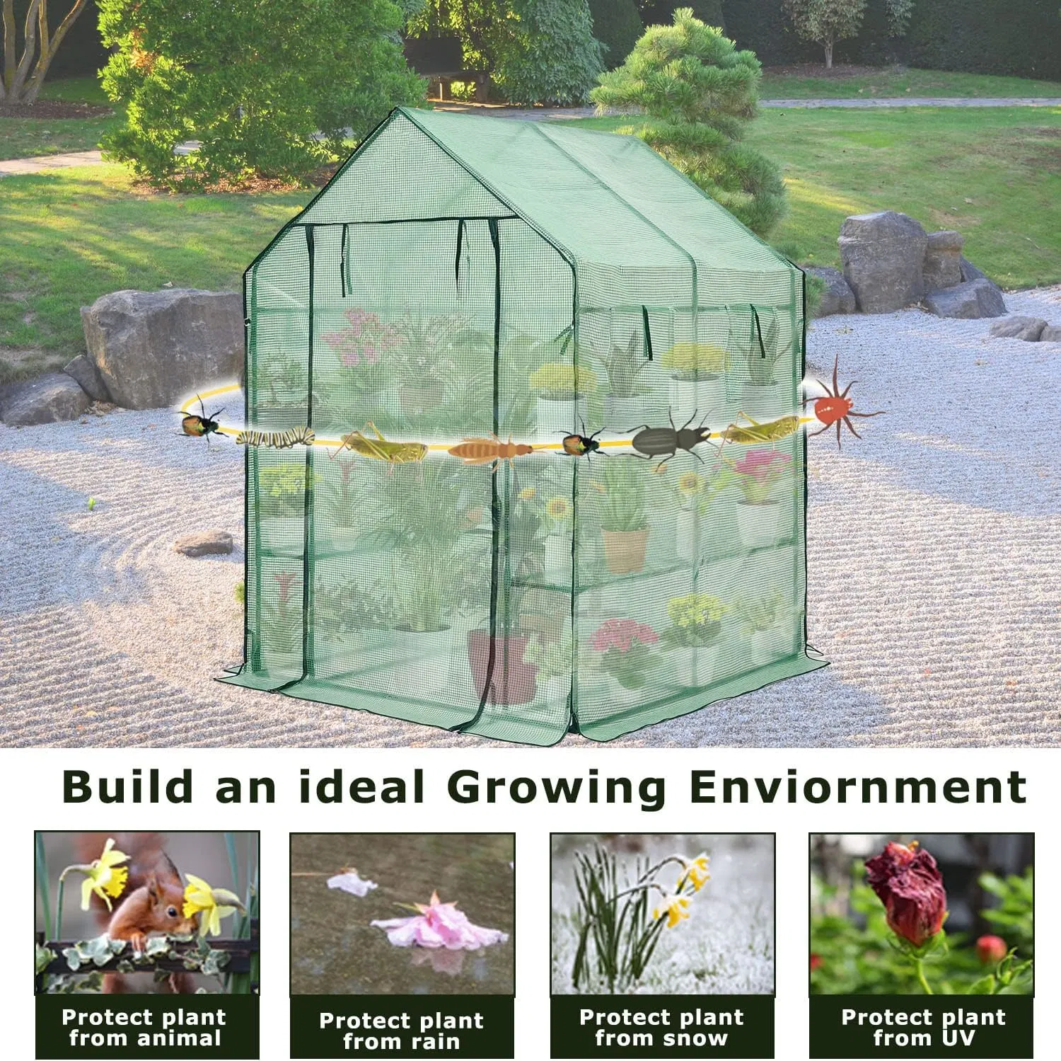 Heavy Duty Powder-Coated Steel Walk-in Greenhouse for Outdoors