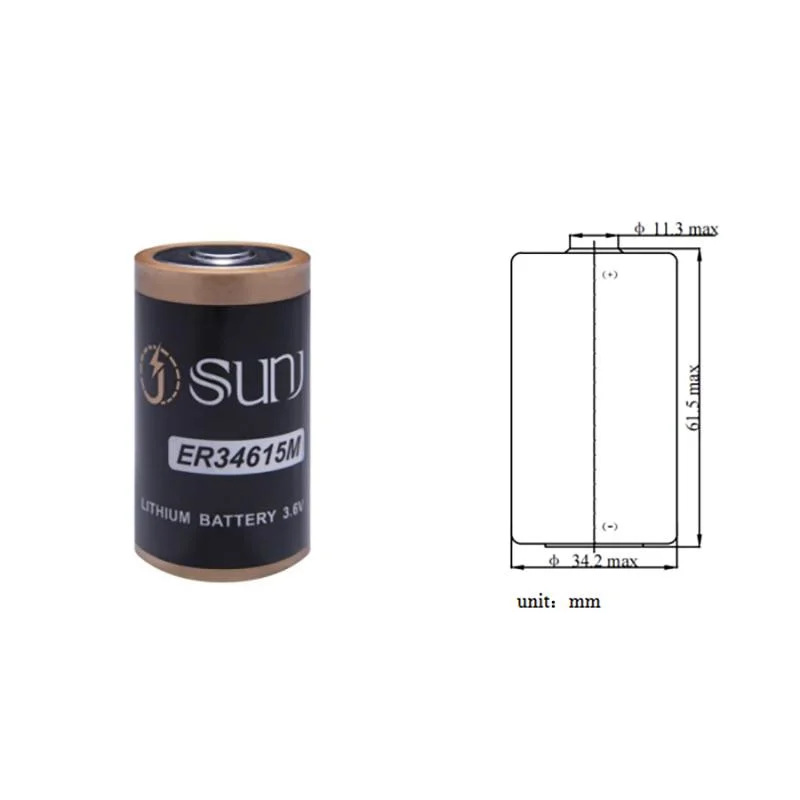 Er34615m Pile au lithium non rechargeable à haute puissance pour compteurs d'eau, d'électricité et de gaz.